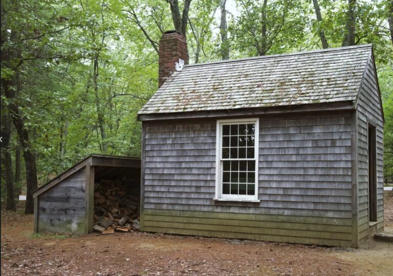 2.-Thoreu-Cabin--768x540.jpg
